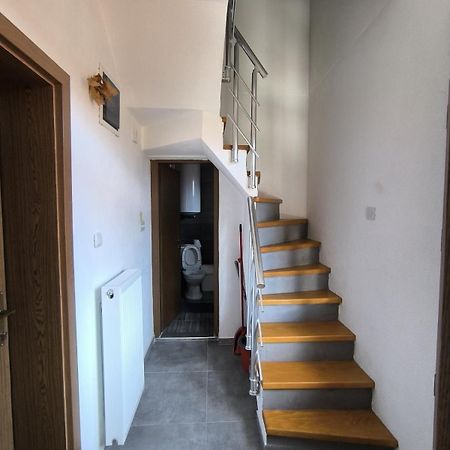 Mountain House - Brezovica Apartment Bagian luar foto